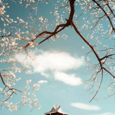 从埃文凯尔到马库斯 真相接力没结束